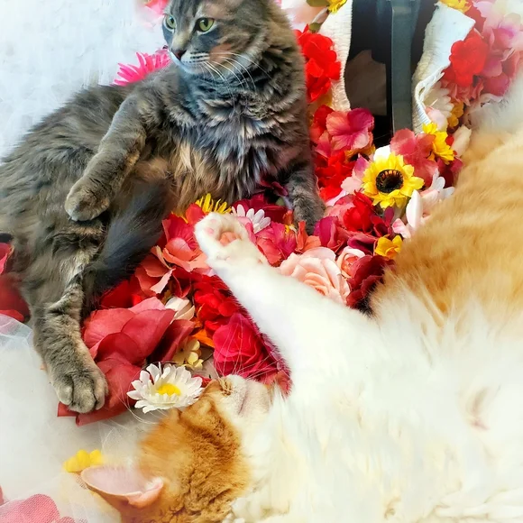 About Me - Picture 3 of 3